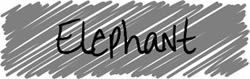 Elephant Drawings