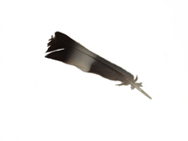 Feather