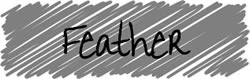 Feather Drawings