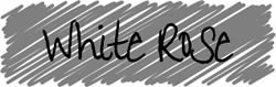 White Rose Drawings